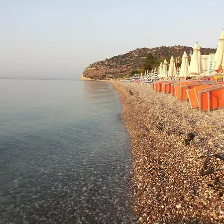 Adriatico Aparthotel *
