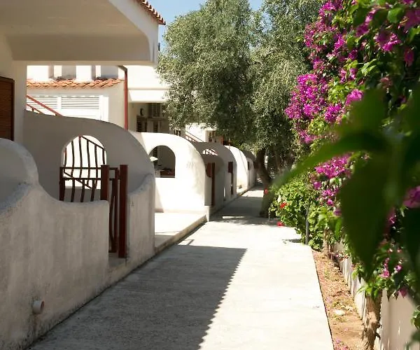 Adriatico マッティナータ