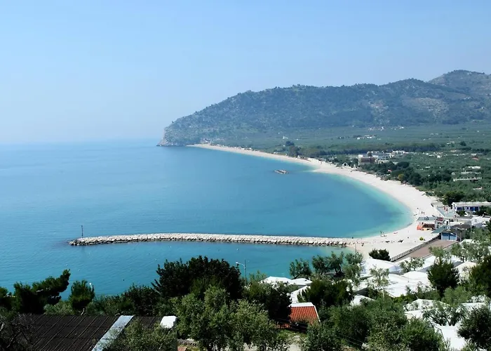 Adriatico アパートホテル